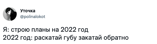 "Просто выжить!": пользователи поделились планами на 2022 год