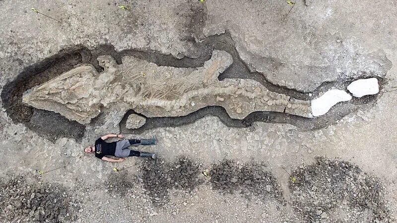 9-метровый «морской дракон», который жил 180 миллионов лет назад