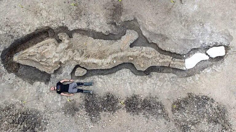 Скелет 9-метрового дельфиноподобного ихтиозавра был найден на водохранилище Ратленд-Уотер, Ратленд