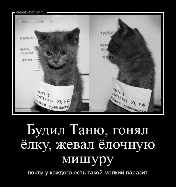 Будил Таню, гонял ёлку, жевал ёлочную мишуру почти у каждого есть такой мелкий паразит