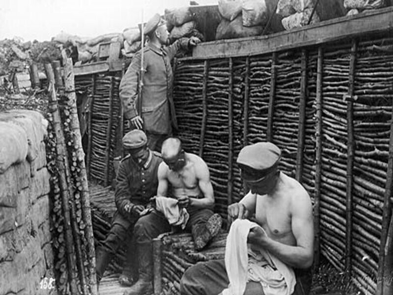 Зачем во времена Первой мировой солдаты раскладывали хворост перед окопами