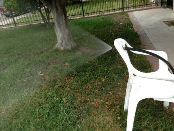 "Папа поливает газон, не вставая с кресла. Это хитрость или лень?"