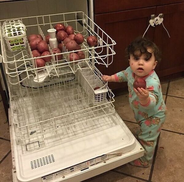"Мы попробовали мыть картошку в посудомоечной машине - отлично, отмывает сразу целую кучу! Правда, ребенок почему-то удивился"