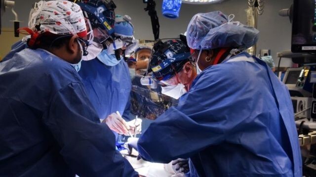 Человек с сердцем свиньи. Пациенту в США впервые в мире пересадили сердце животного