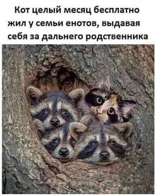 Заходи...Улыбнись до ушей