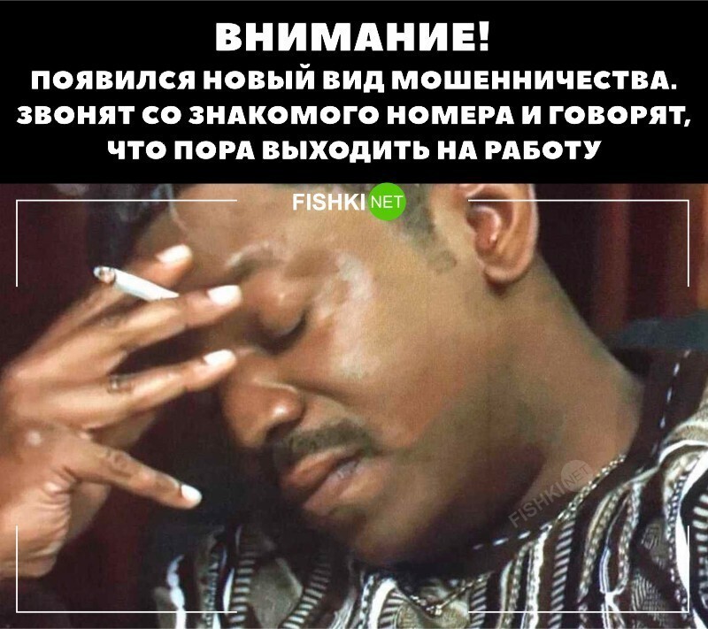 Заскамили мамонта