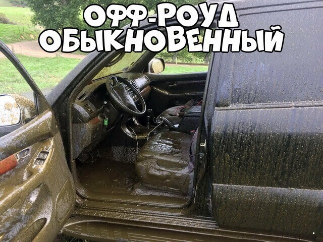 Автовсячина