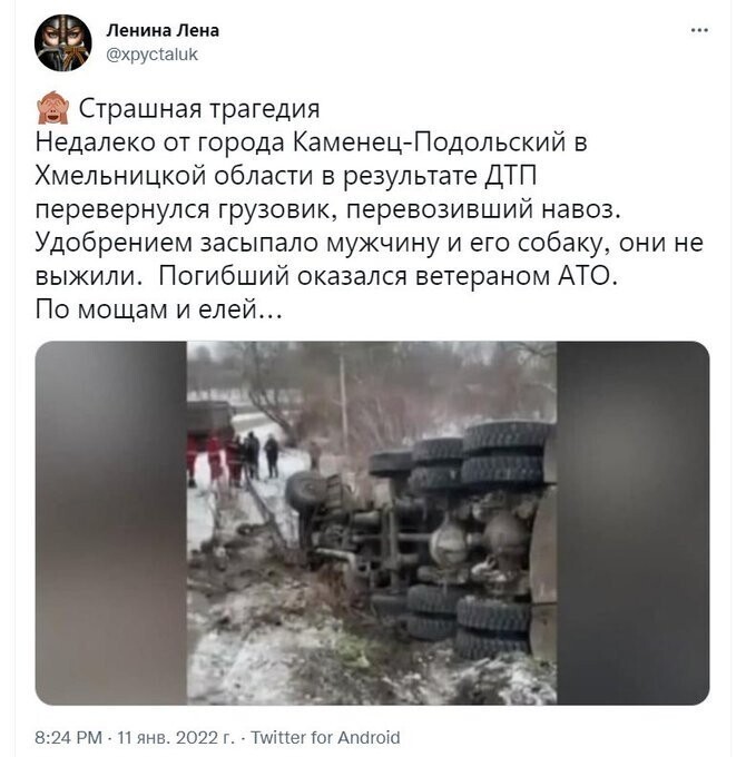 ((( собаку жалко...