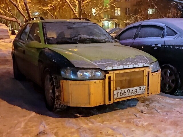 Автовсячина