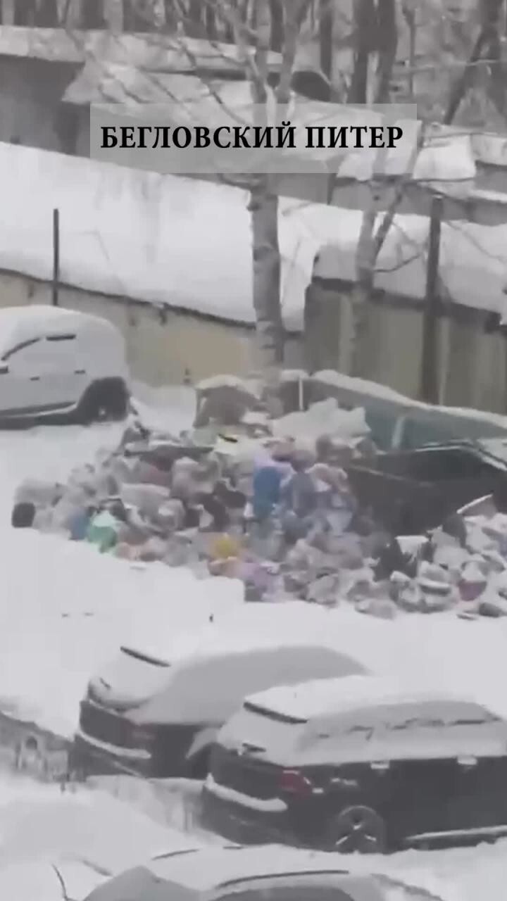 Почувствуй разницу: Питер глазами горожан 