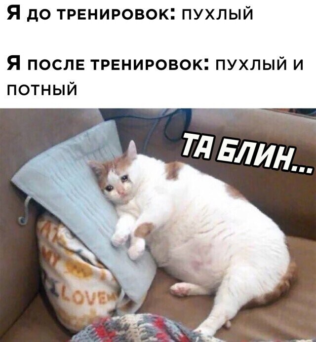 Намешалось