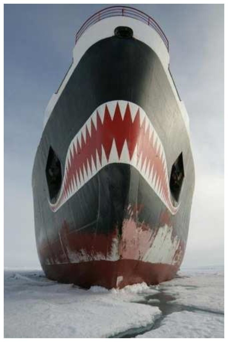 Зубастое железо: 25 крутых оскалов в стиле Shark Art