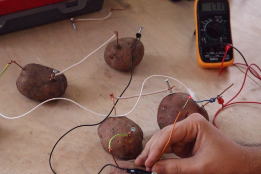 Сервер на картошке и другие удачные попытки добыть электричество из овоща