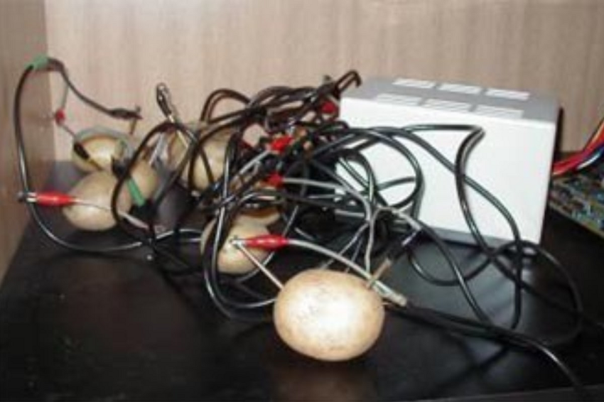 Сервер на картошке и другие удачные попытки добыть электричество из овоща