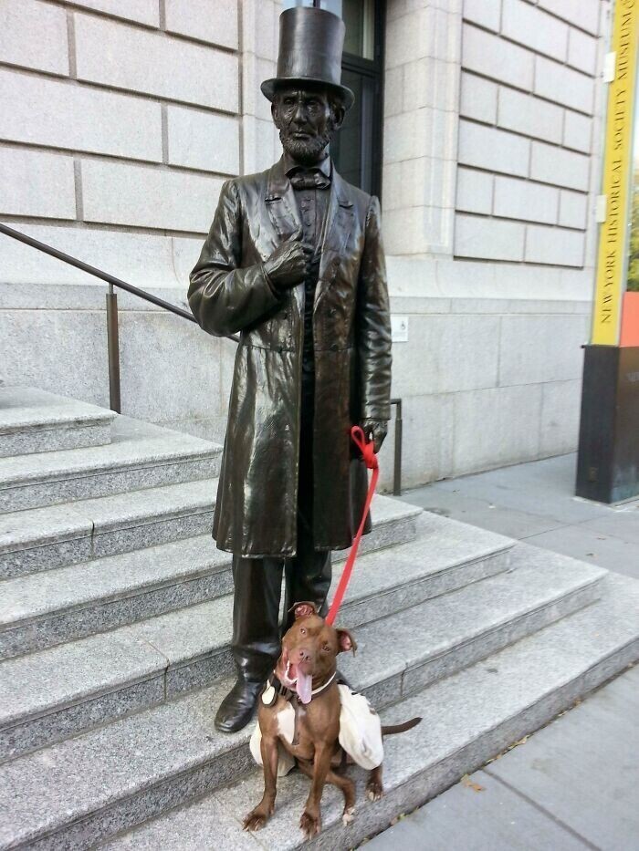 Линкольн с собачкой: Нью-Йоркский музей истории приспособил статую президента в качестве столбика, у которого можно привязать собаку