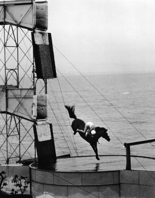 Всадник на лошади выполняет трюк с прыжком в бассейн, 1940-е годы