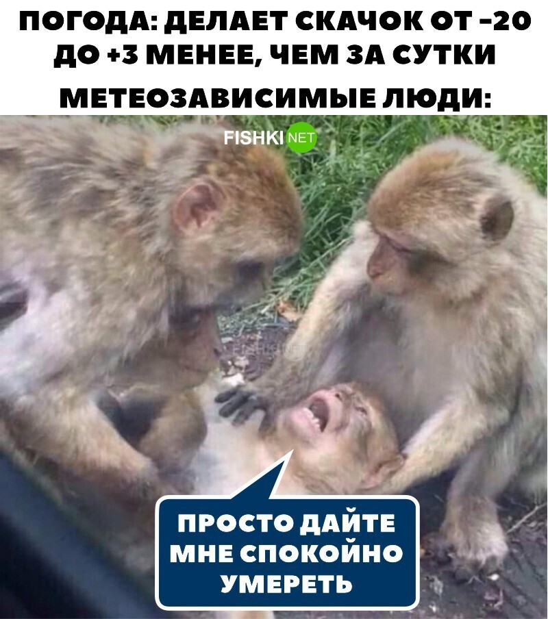 Ох уж эта метеозависимость 