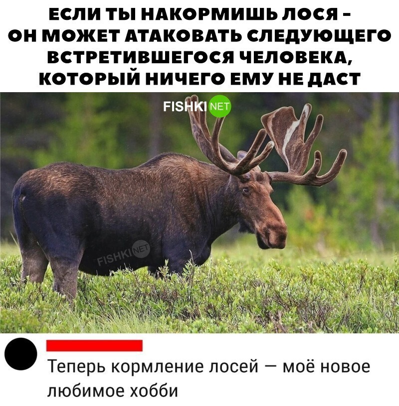 Без еды в  лес не ходи!