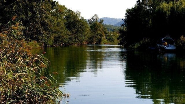 Зелёные берега реки Джубги.