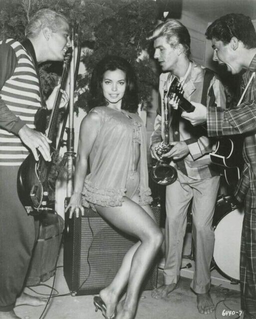 Харт, Сьюзан в пижамной вечеринке 1964 год