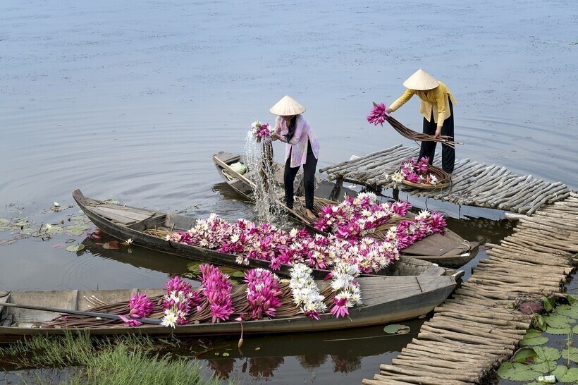 Как река во Вьетнаме превращается в живую акварель
