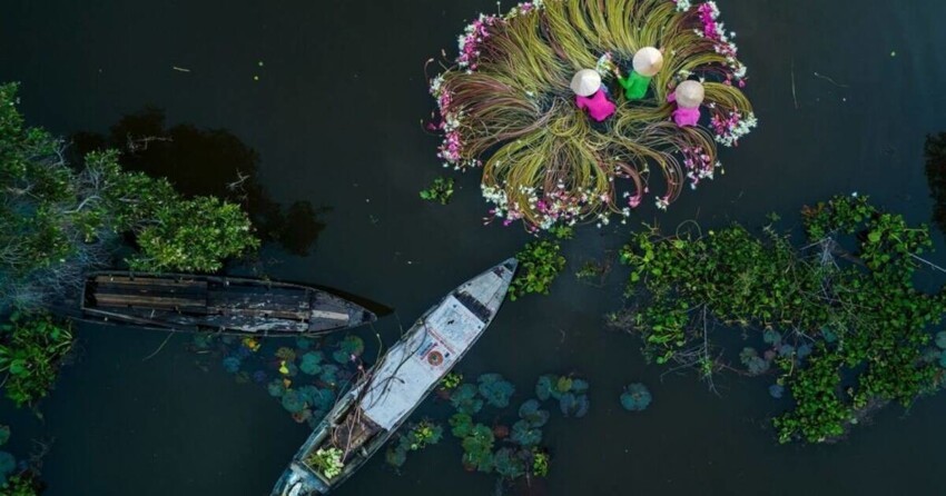 Как река во Вьетнаме превращается в живую акварель