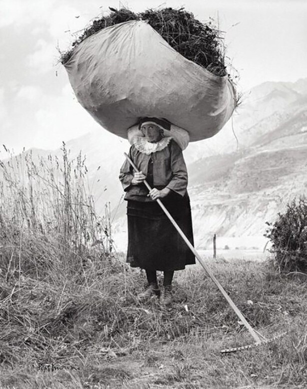 Сбор травы после сенокоса в Италии, 1959 год