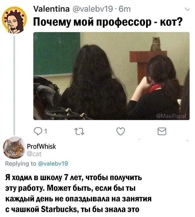 Смешные и познавательные картинки