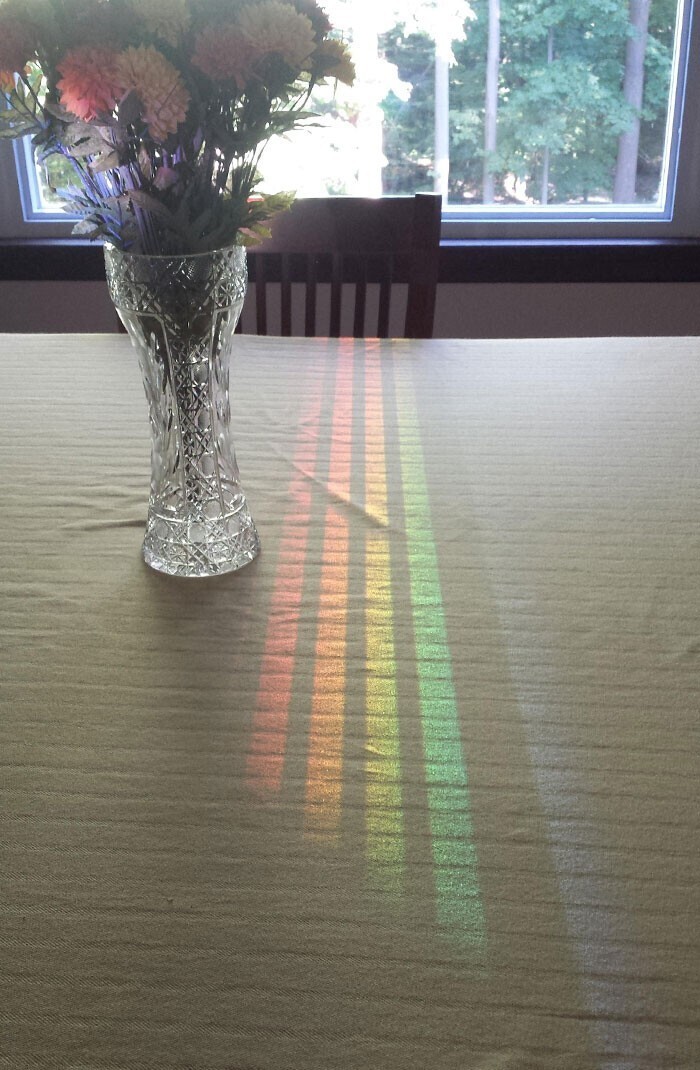 8. "Этот спектр отразился от окна столовой через спинку стула"