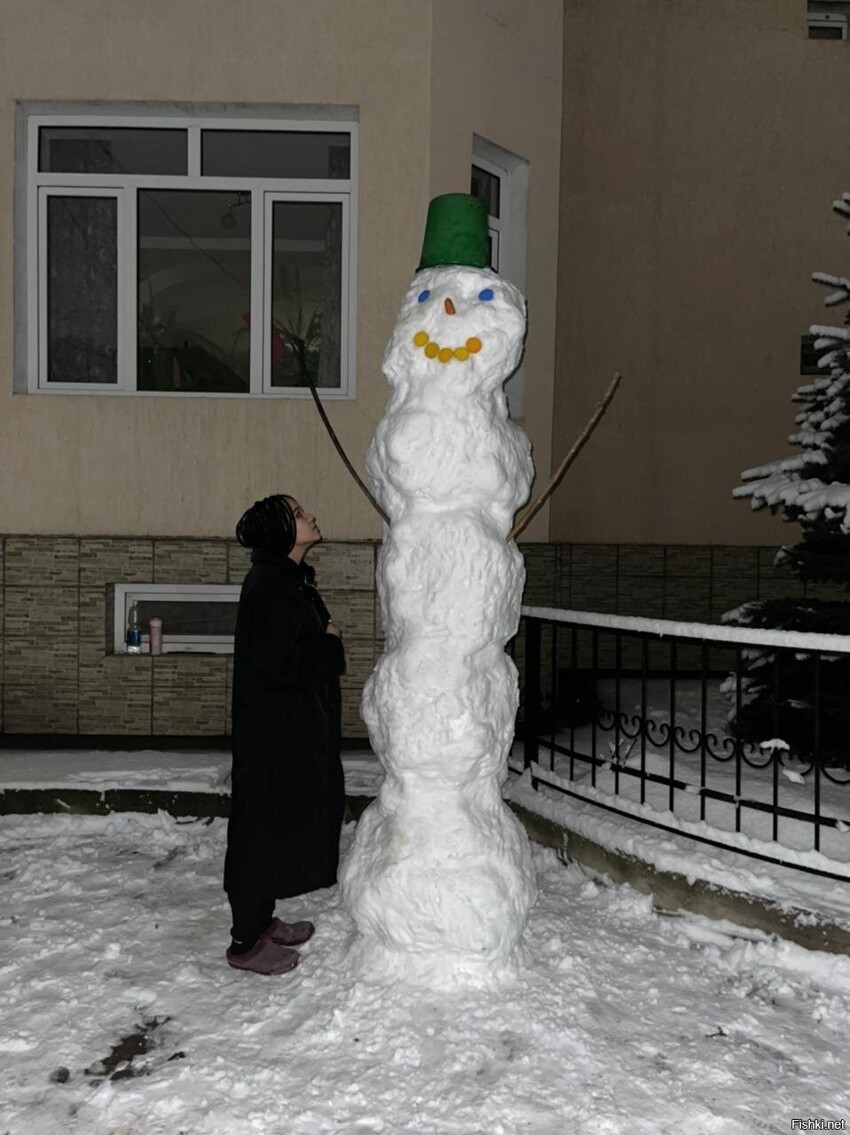 А у нас, вчера снег выпал (2-й раз за зиму)