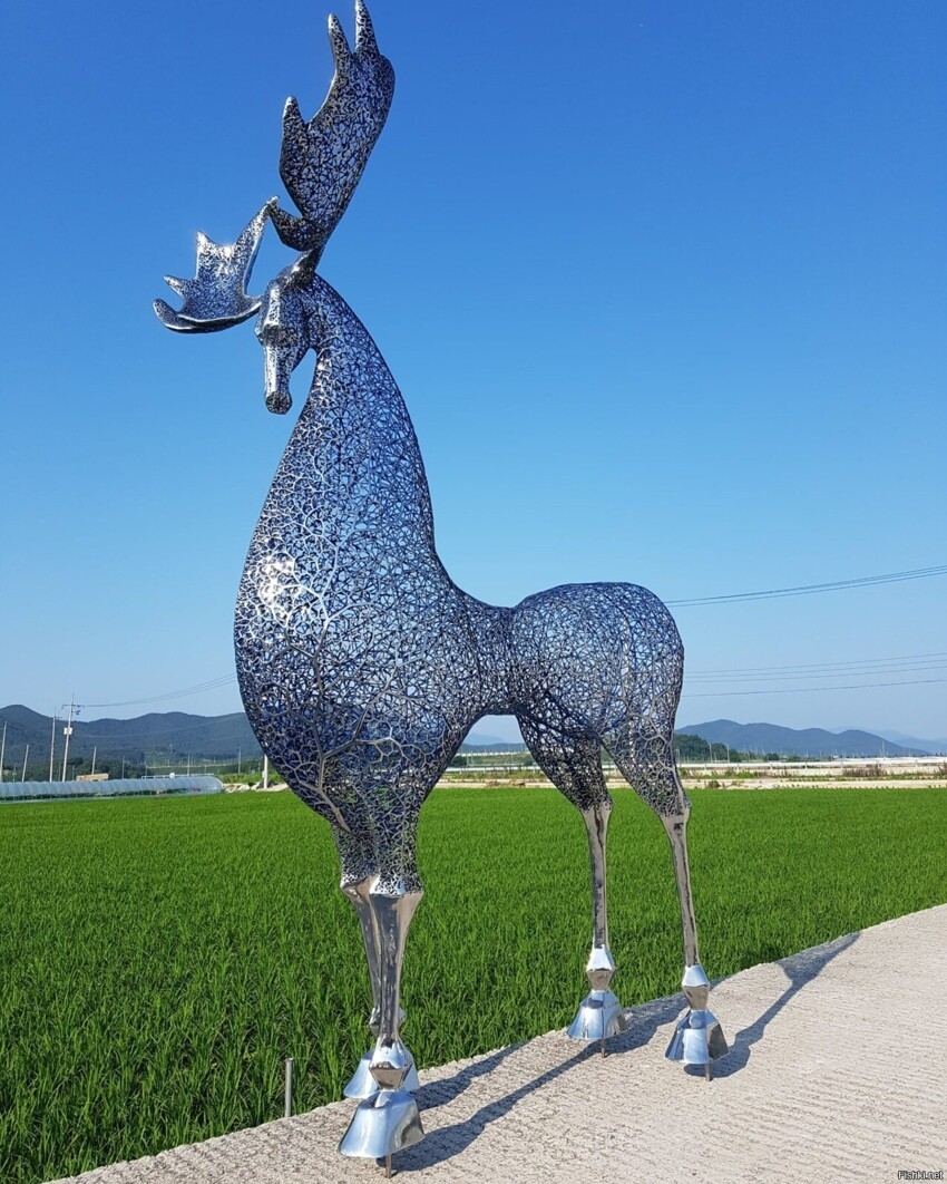 Корейский скульптор Kang Dong [мат] (Кан Дон Хён)