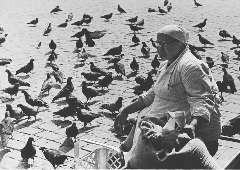 Голуби. Продавщица семечек. Виктор Ахломов, 1965 год, г. Москва