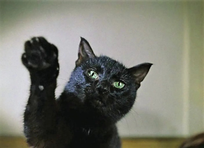 Почему в большинстве фильмов Леонида Гайдая присутствуют кошки