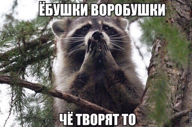 Политический сарказм (38)