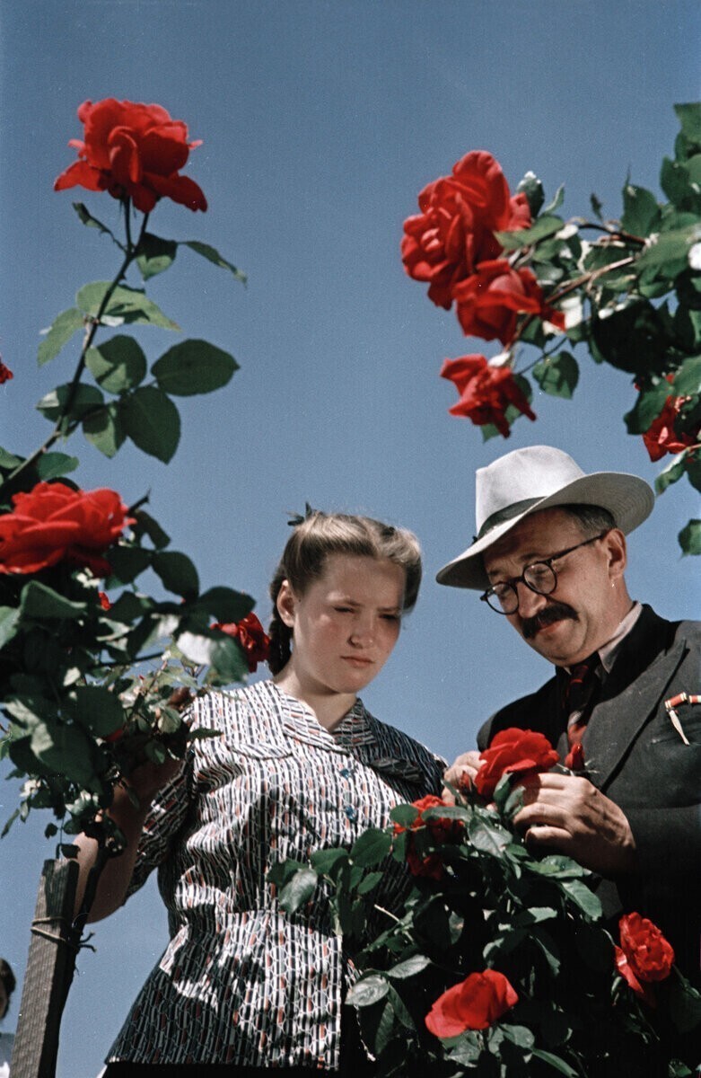 Академик Гришко в розарии Ботанического сада. Киев, 1950 г.