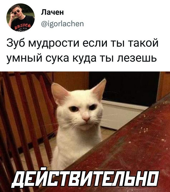 Скрины из соцсетей