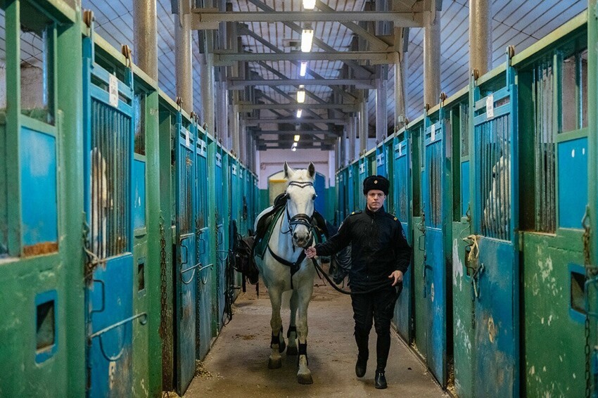 Как работает российская конная полиция