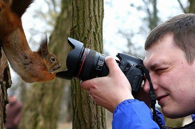 Зверские фото