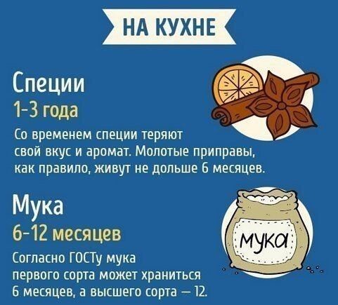 20 важных регламентов и сроков, из которых вы узнаете, что уже пора менять в этой жизни