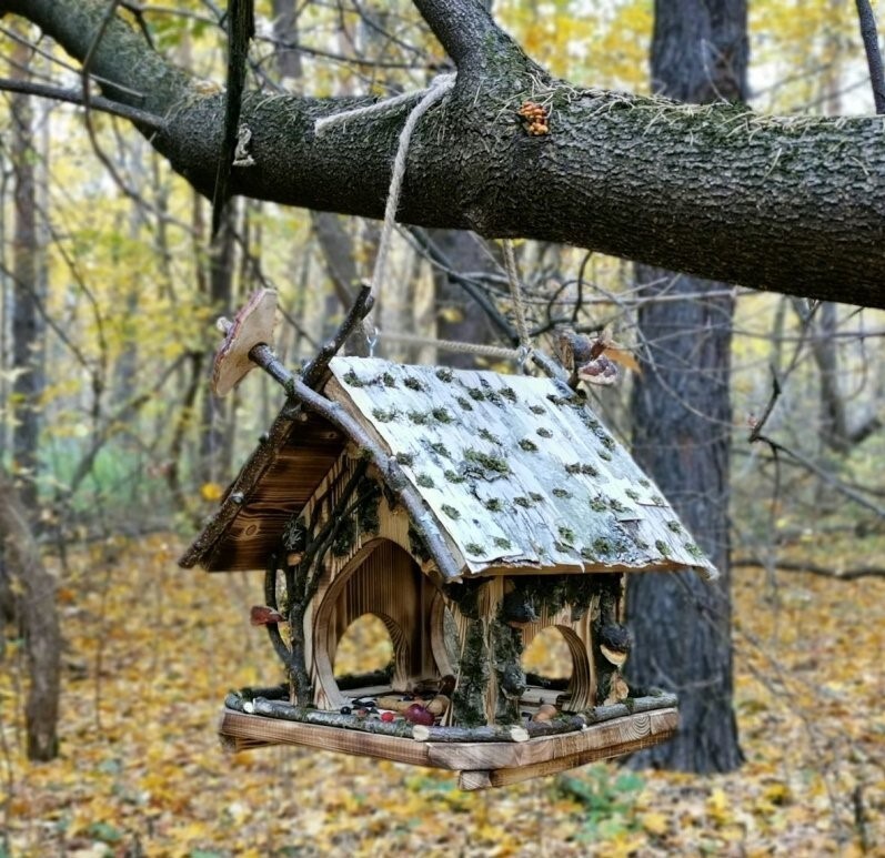 Кормушки и скворечники