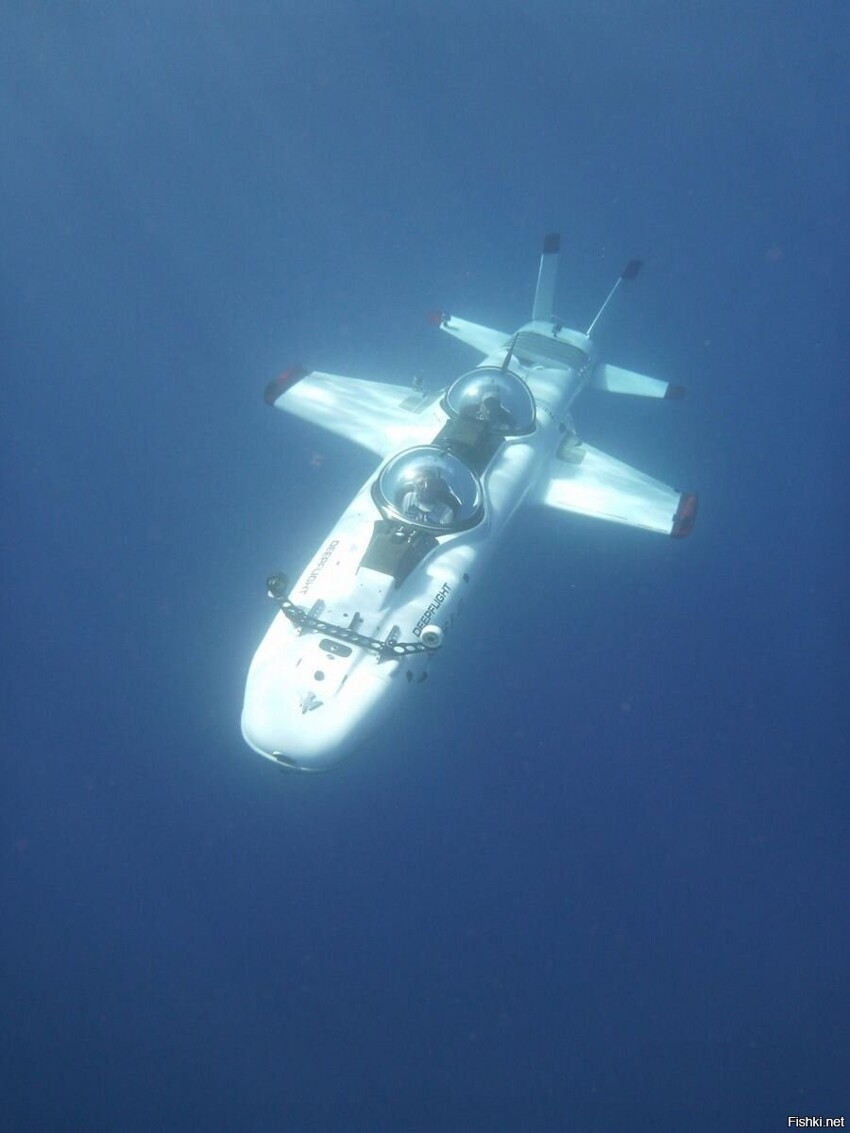 Мини субмарина для подводного туризма получила имя Super Falcon, она производ...
