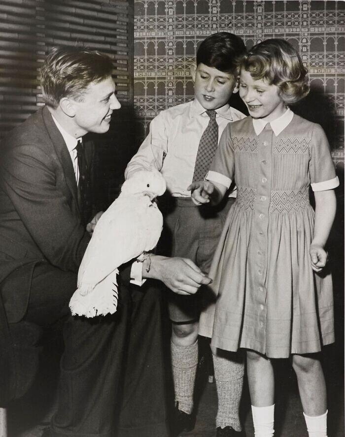 21. Дэвид Аттенборо развлекает принца Чарльза и принцессу Анну, показывая им какаду. 1958 г.