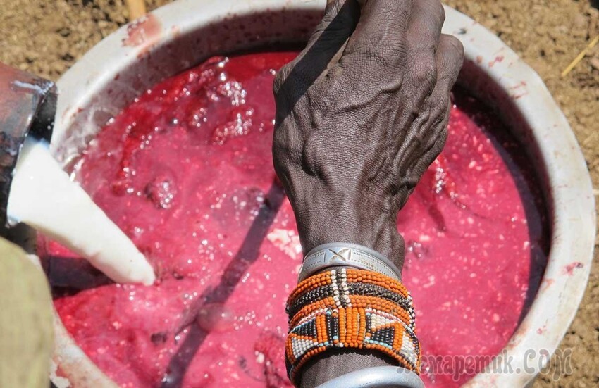 Кроваво-молочный коктейль у племени самбуру