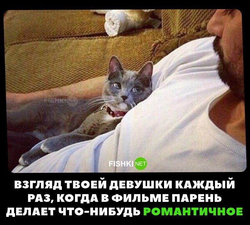 Безысходный взгляд