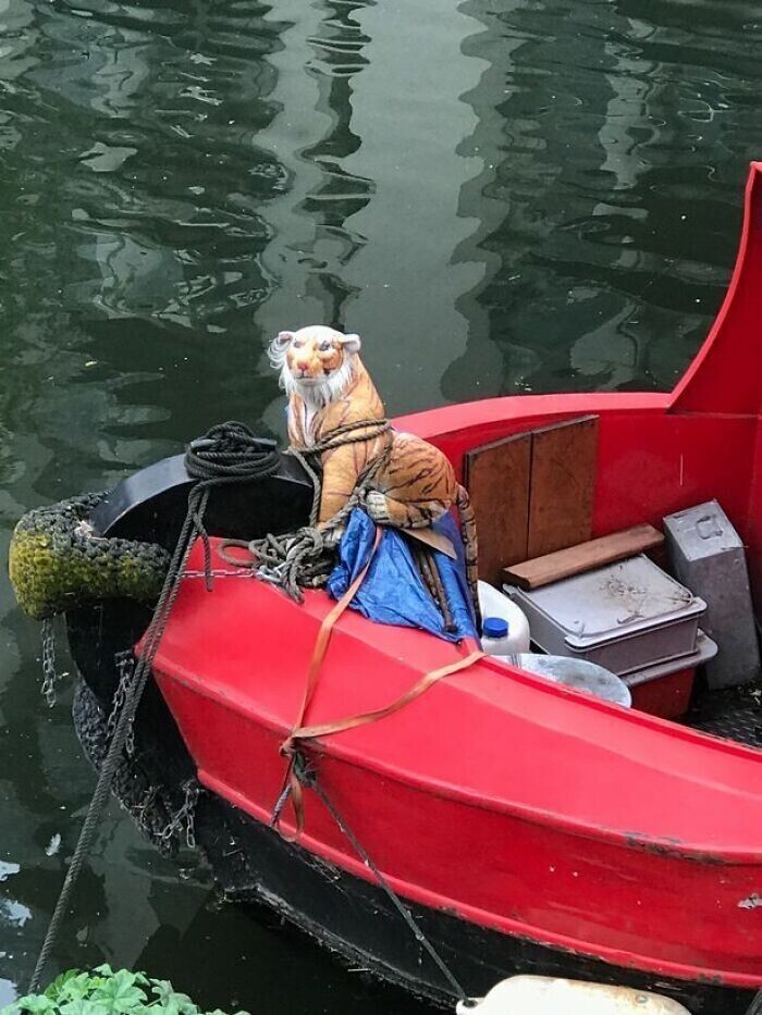 Жители Лондона связались со спасателями по поводу "плачущей собаки, застрявшей на лодке". Собака, о которой шла речь, оказалась плюшевым тигром, привязанным к носу лодки