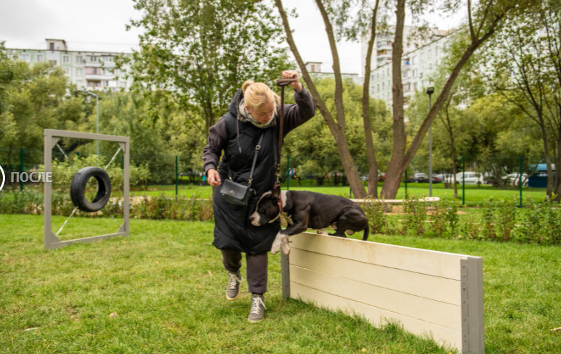 В Москве обсудят модернизацию собачьих площадок