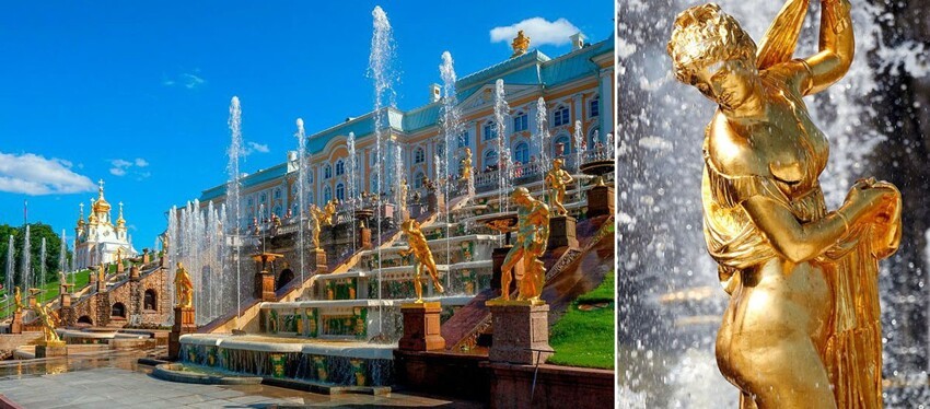 С голыми попами