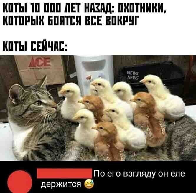 Смешные и познавательные картинки