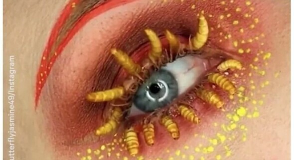 Буэ! Эта визажистка делает мейкап с помощью настоящих насекомых и личинок