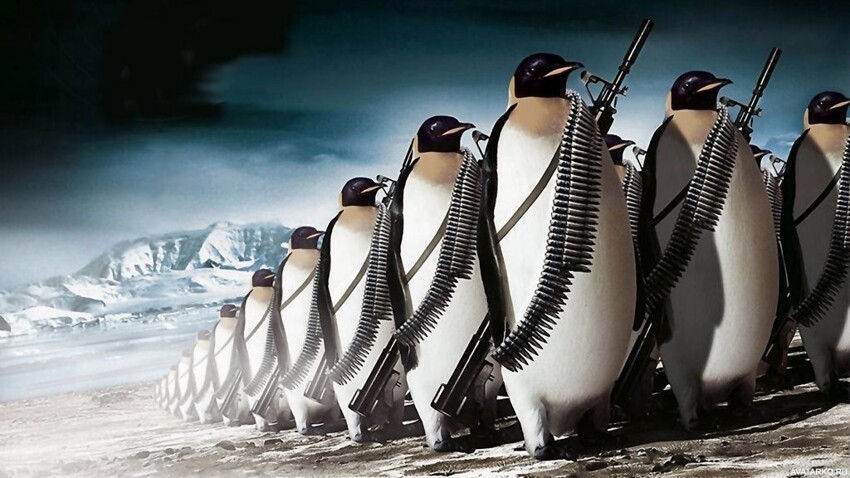 Что там с ценностями у пингвинов? В ожидании революции в Арктике